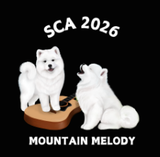 Limited Edition! Port & Co Men's Front 2026 Logo - Image 2