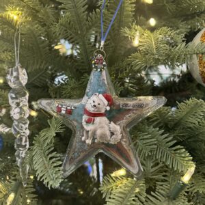 Mas-Forma Glass Star Christmas Ornament