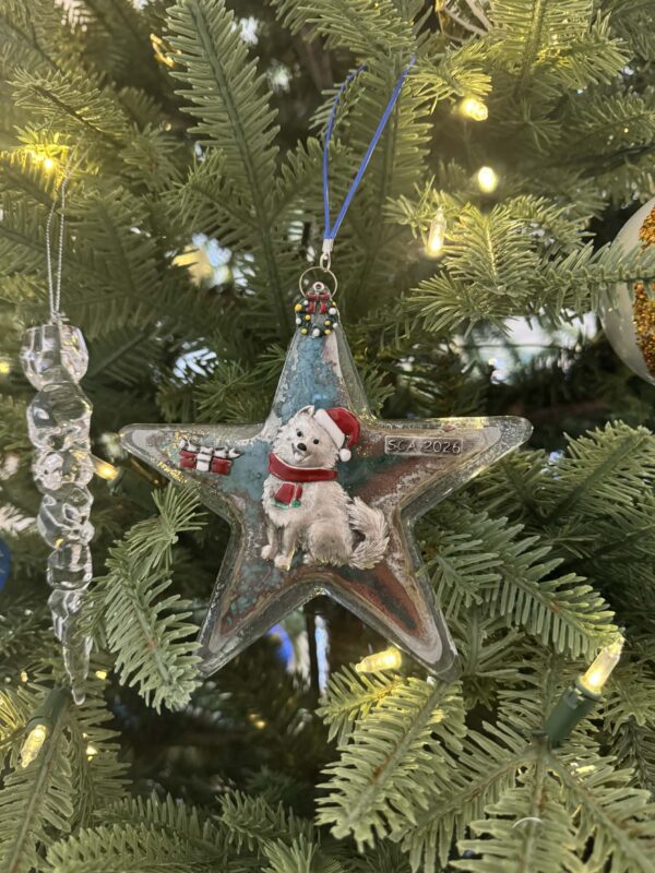 Mas-Forma Glass Star Christmas Ornament