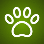 Dog paw print icon on green background