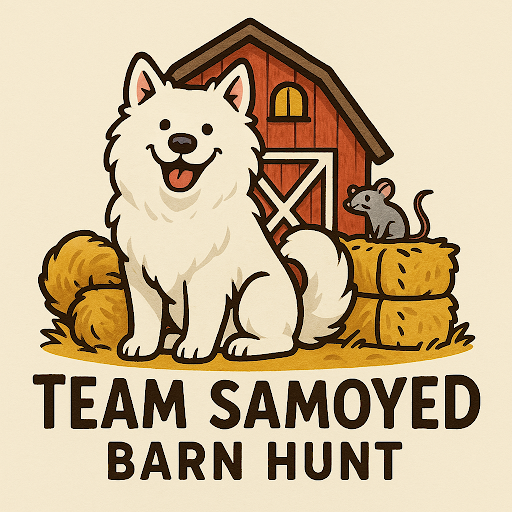 Cute samoyed sitting in front of a barn with hay bales and text that says Team Samoyed Barn Hunt