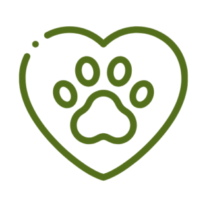 Cardiac Clinic - Advanced Echo