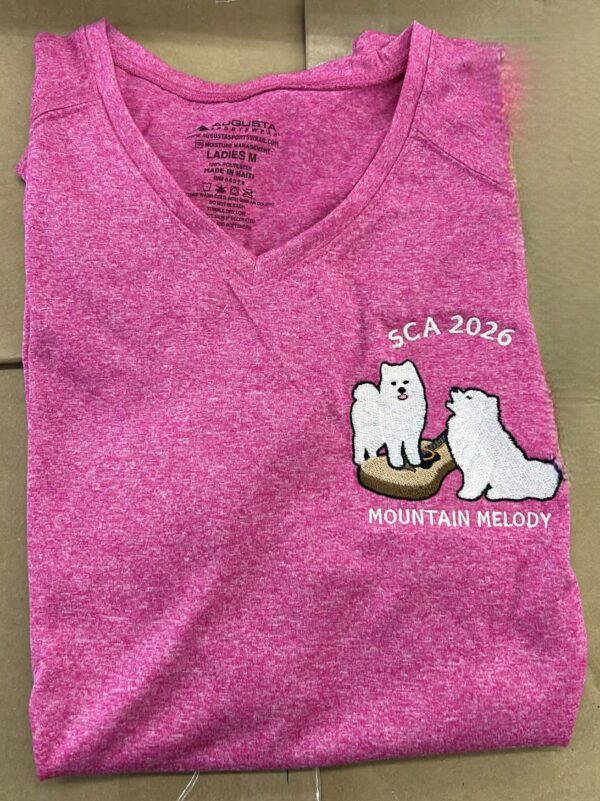 Augusta Sportswear Ladies  V- Neck Kinergy Training Tee - Embroidered - Image 4
