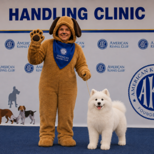 Handling Clinic