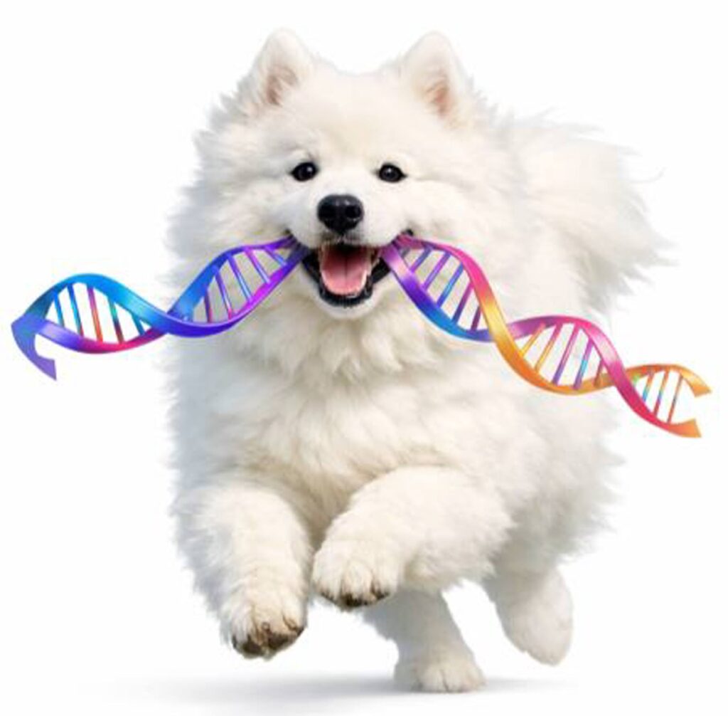 AI image of Samoyed puppy running with DNA strand in its mouth