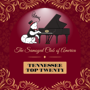 Top 20 Food Tickets