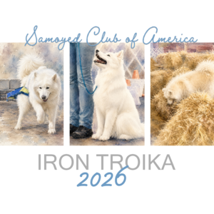 Iron Troika