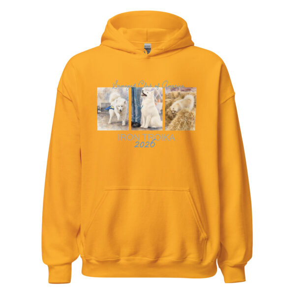 Weight Pull, Rally/Obedience & Barn Hunt- Gildan Unisex Hoodie - Image 8